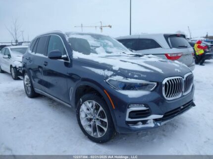 5UXCR6C58KLK80618 2019 BMW