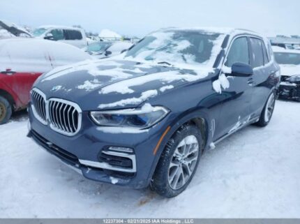 5UXCR6C58KLK80618 2019 BMW
