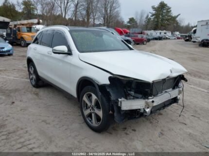 W1N0G8EB7LV239484 2020 MERCEDES-BENZ