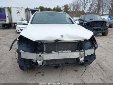 W1N0G8EB7LV239484 2020 MERCEDES-BENZ