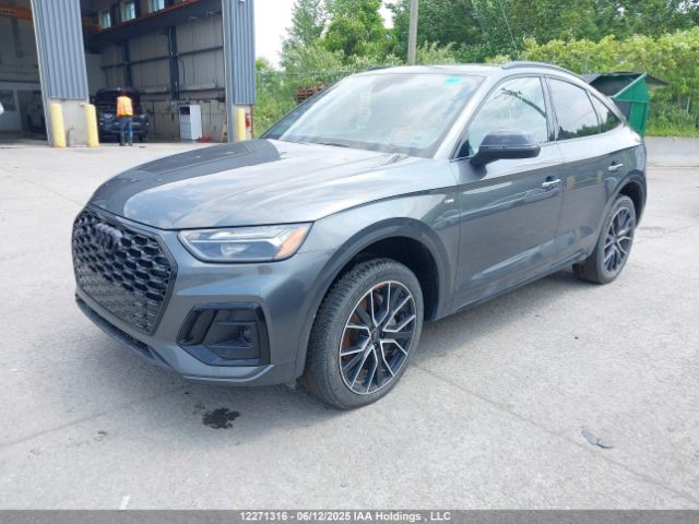 WA14AAFY5P2095455 2023 AUDI