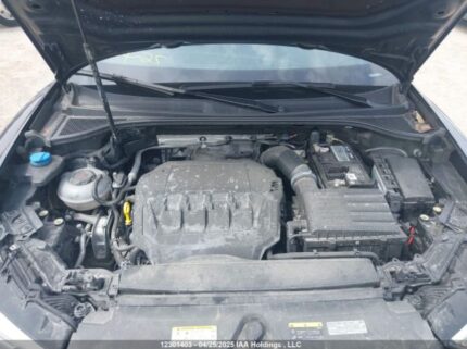 WA1AECF38P1024019 2023 AUDI