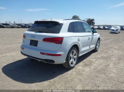 WA1C4AFY8L2028250 2020 AUDI
