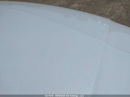 WA1C4AFY8L2028250 2020 AUDI