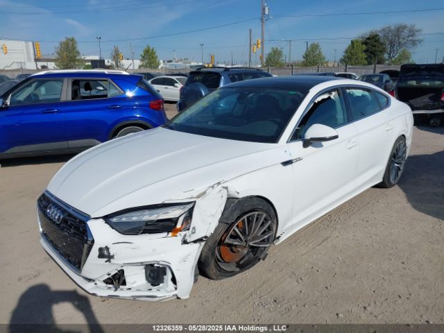 WAUAACF51PA039087 2023 AUDI