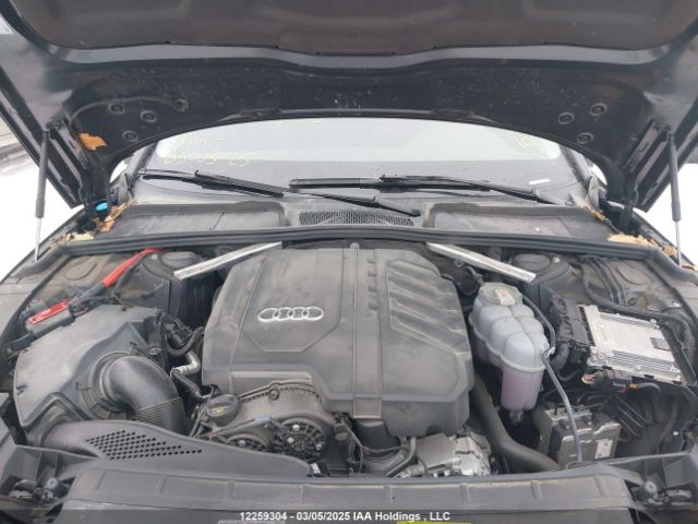 WAUABAF47MA087455 2021 AUDI