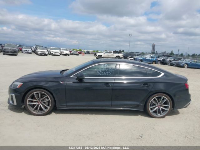 WAUFACF55MA033651 2021 AUDI