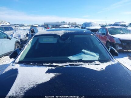 WAULDAF87RN011800 2024 AUDI