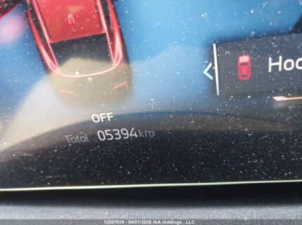 WBX63GM09S5039490 2025 BMW