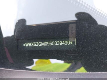 WBX63GM09S5039490 2025 BMW