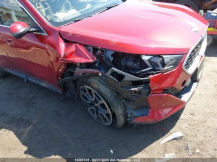 WBX63GM09S5039490 2025 BMW