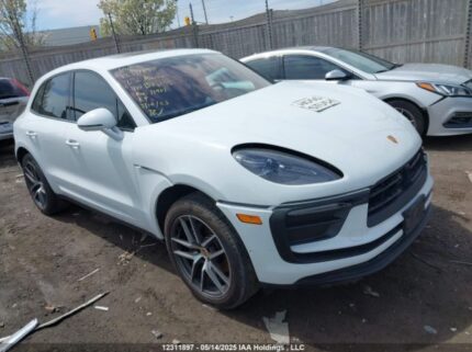 WP1AA2A50PLB08195 2023 PORSCHE