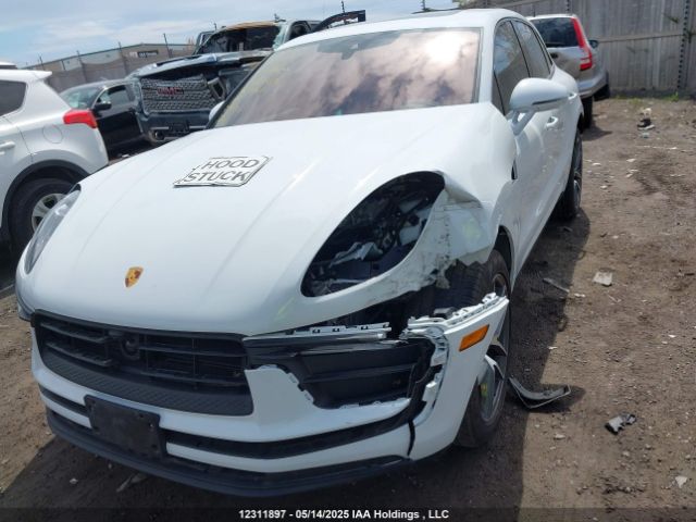 WP1AA2A50PLB08195 2023 PORSCHE