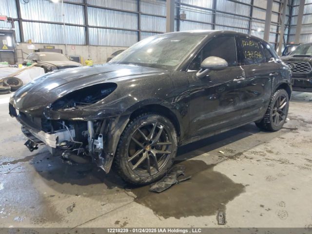 WP1AA2A52PLB21546 2023 PORSCHE