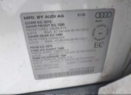 WA1F2AFY0L2062196 2020 AUDI