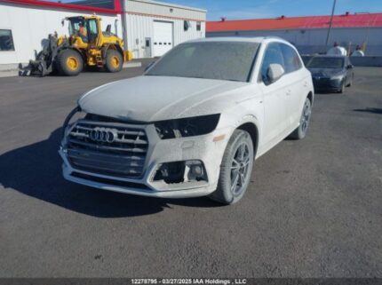 WA1F2AFY0L2062196 2020 AUDI