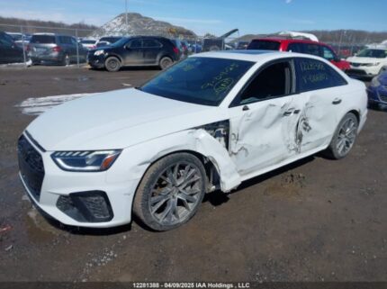 WAUENAF44LN006802 2020 AUDI
