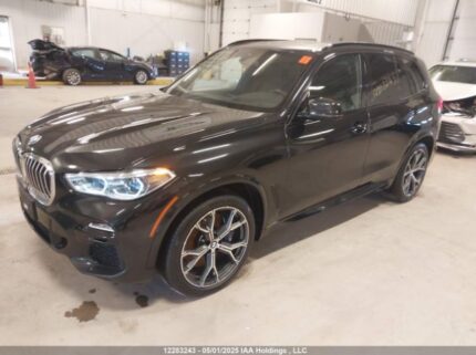 5UXCR6C02L9B45527 2020 BMW