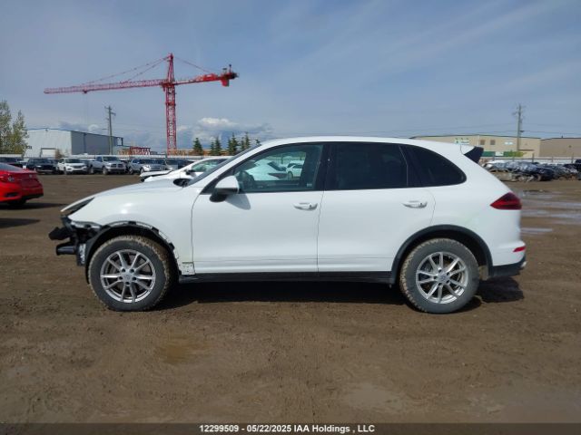 WP1AA2A28HKA86444 2017 PORSCHE