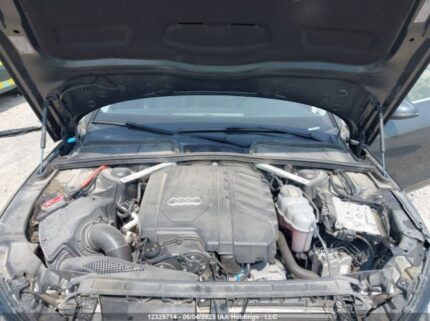 WAUAAAF44PN020117 2023 AUDI