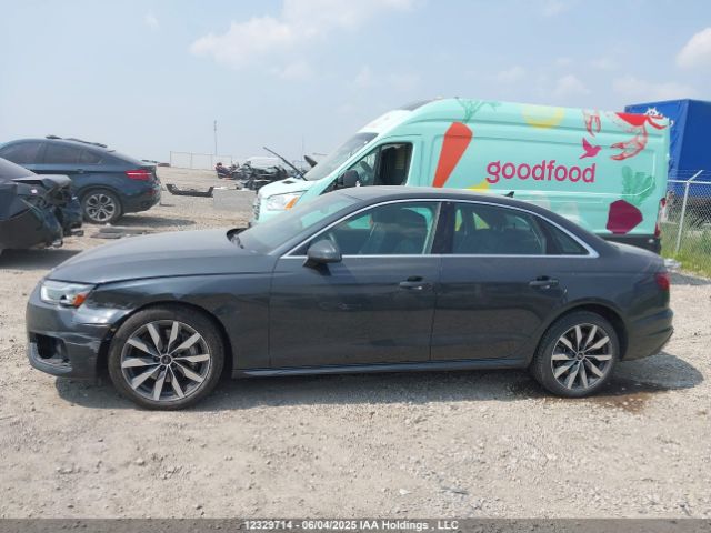WAUAAAF44PN020117 2023 AUDI