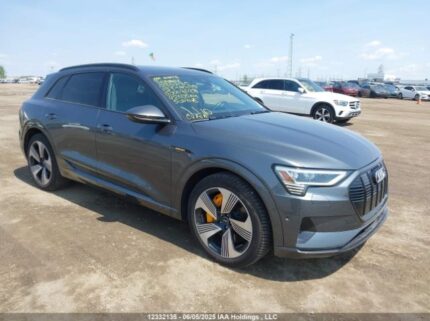 WA1VAAGE0KB008028 2019 AUDI