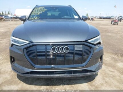 WA1VAAGE0KB008028 2019 AUDI