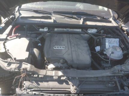 WA1AAAFY1R2065150 2024 AUDI