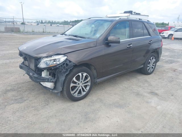 4JGDA2EB6GA699980 2016 MERCEDES-BENZ
