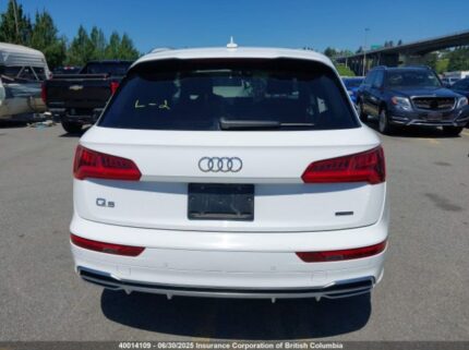 WA1FNAFYXK2056365 2019 AUDI