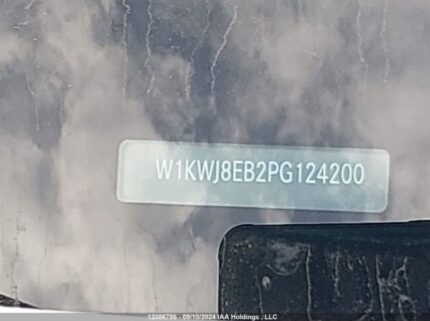 W1KWJ8EB2PG124200 2023 MERCEDES-BENZ