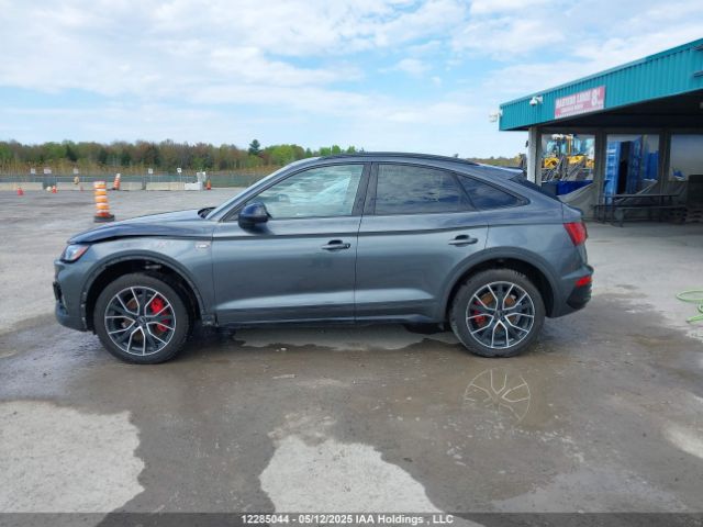 WA16AAFY7R2005802 2024 AUDI