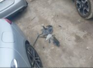2025 MERCEDES-BENZ CLA 250 4MATIC | VIN: W1K5J4HB5SN519945