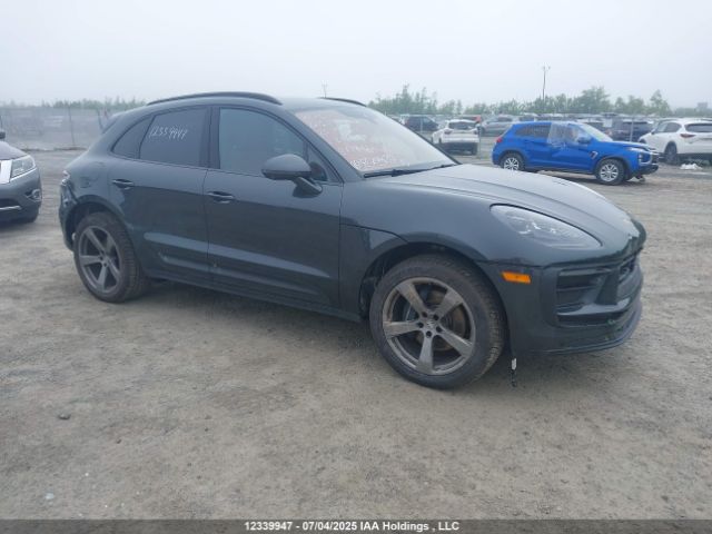 WP1AA2A56PLB14082 2023 PORSCHE