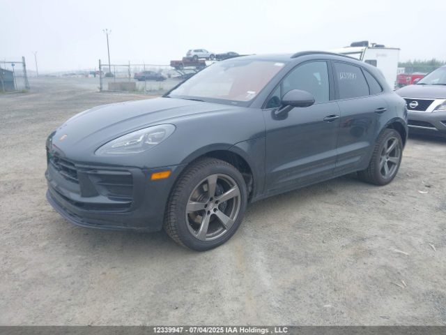 WP1AA2A56PLB14082 2023 PORSCHE