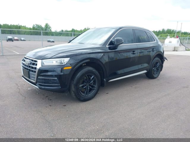 WA1ANAFY8K2089293 2019 AUDI