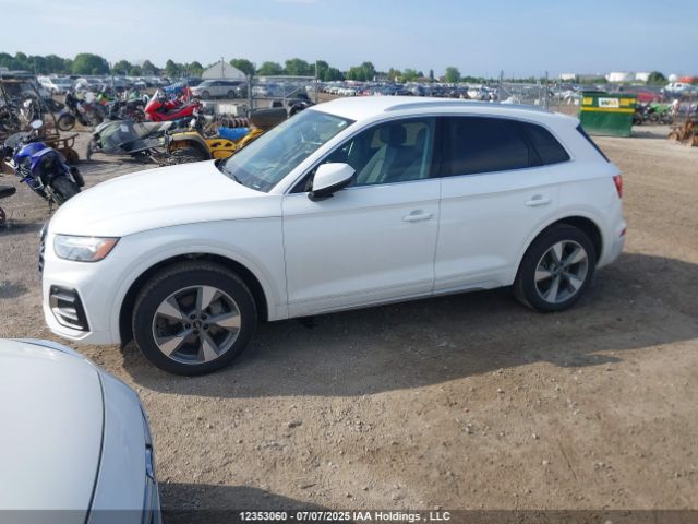 WA1AAAFY8R2063119 2024 AUDI