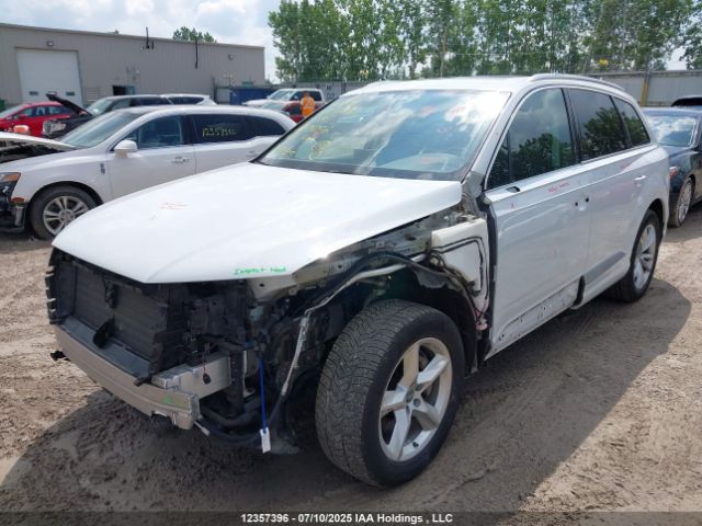 WA1LAAF78KD011256 2019 AUDI