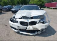 WBA2K1C05L7E13872 2020 BMW