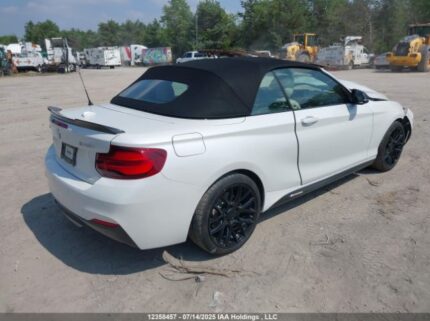 WBA2K1C05L7E13872 2020 BMW