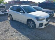 WBXJG9C03L5R35720 2020 BMW