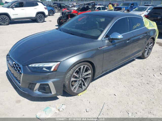 WAUB4CF5XMA016995 2021 AUDI