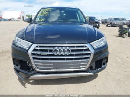 WA1ANAFY2K2103480 2019 AUDI