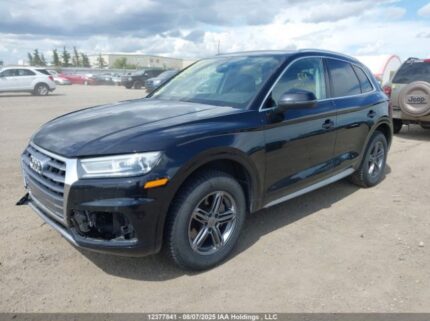 WA1ANAFY2K2103480 2019 AUDI