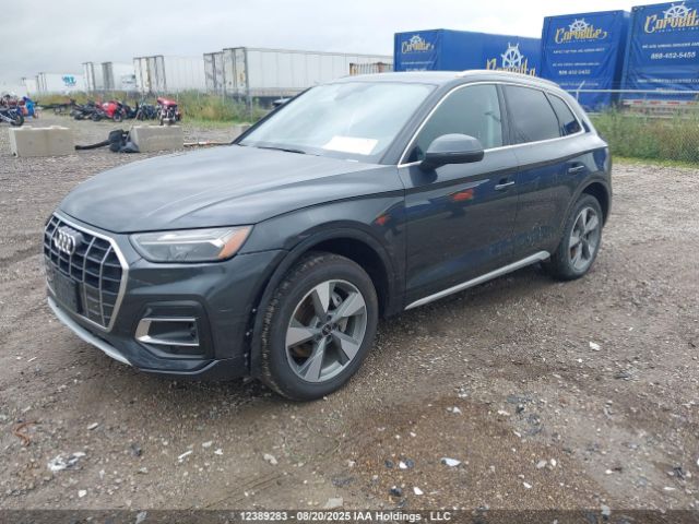 WA1AAAFY9R2070273 2024 AUDI