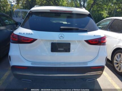W1N4N4HB9MJ309619 2021 MERCEDES-BENZ