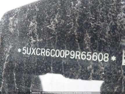 5UXCR6C00P9R65608 2023 BMW