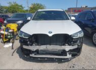 2023 BMW X3 XDRIVE30I | VIN: 5UX53DP04P9S39811