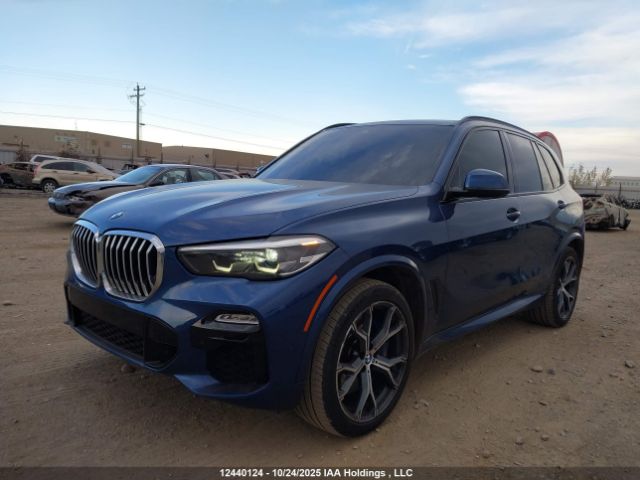 2019 BMW X5 | VIN: 5UXCR6C51KLK80119