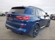2019 BMW X5 | VIN: 5UXCR6C51KLK80119